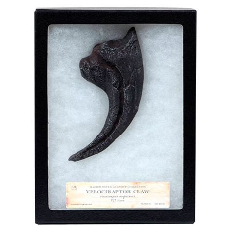 real raptor claw for sale.